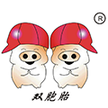 雙胞胎集團(tuán)